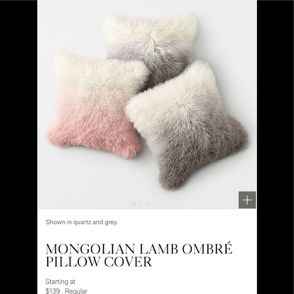 2 Restoration hardware lamb ombré shams cover NEW